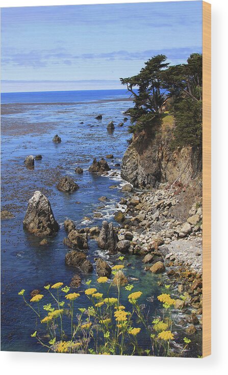 Esalen Wood Print featuring the photograph Esalen by James Knight