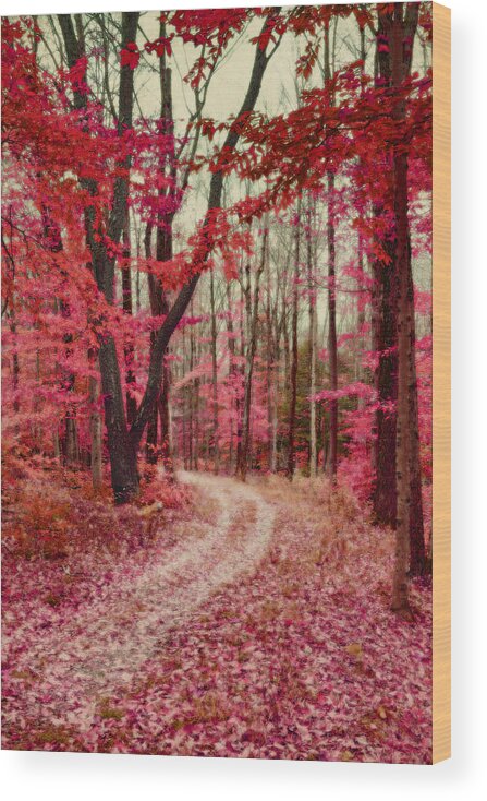 Vertical Wood Print featuring the photograph Ethereal Forest Path with Red Fall Colors by Brooke T Ryan