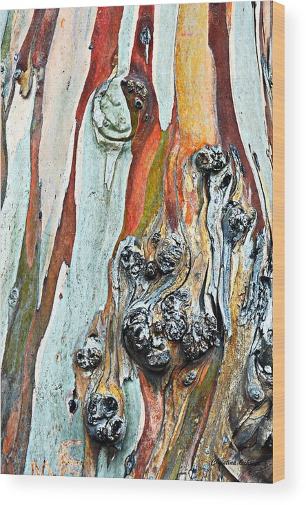Eucalyptus Tree Wood Print featuring the photograph Eucalyptus Tree by Christina Ochsner