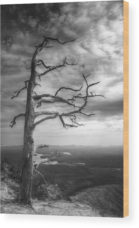 Linville Gorge Wood Print featuring the photograph Even In Death I Defy Thee by Mark Steven Houser