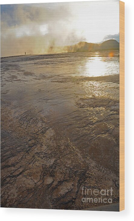 Yellowstone National Park Wood Print featuring the photograph Excelsior Geyser by Cindy Murphy - NightVisions 