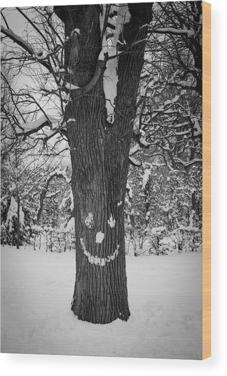 Winter Wood Print featuring the photograph Face Of The Winter by Andreas Berthold