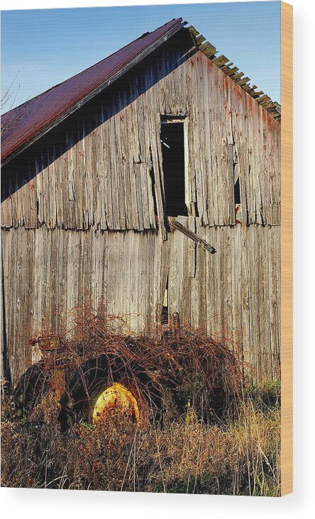 Barn Wood Print featuring the photograph Fail to Notice by Randy Pollard
