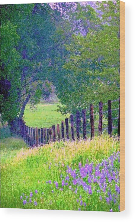Fairy Tale Meadow Wood Print featuring the digital art Fairy Tale Meadow With Lupines by Pamela Smale Williams