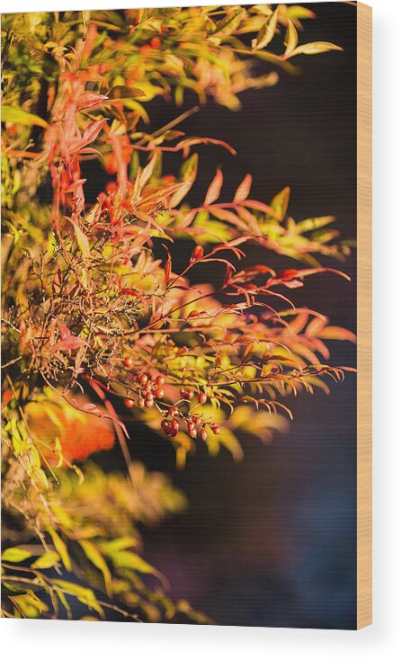 Berries Wood Print featuring the photograph Fall Berries by Mike Lee