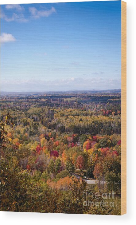 Fall Colors Wood Print featuring the photograph Fall Colors by Gwen Gibson