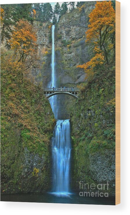 Multnomah Wood Print featuring the photograph Fall Decorations At Multnomah by Adam Jewell