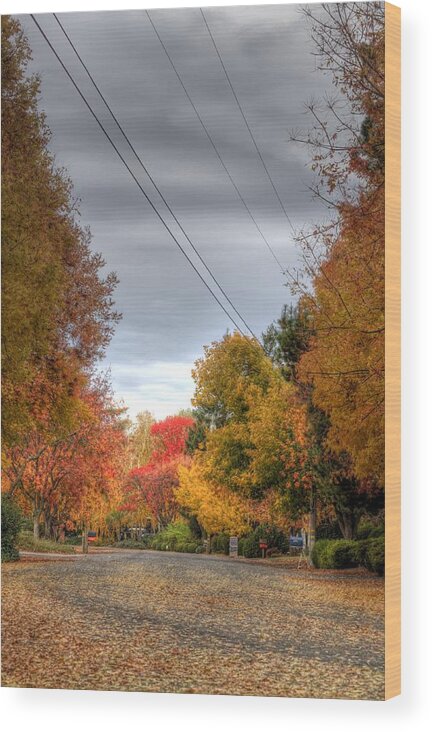 Fall Wood Print featuring the photograph Fall Drive by Ren Alber