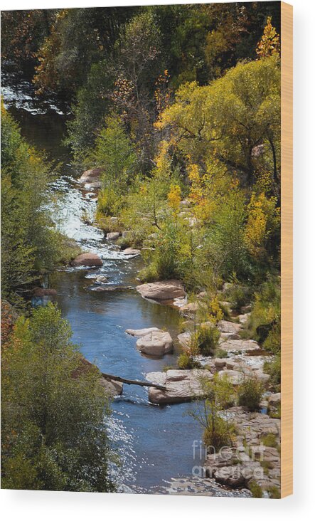 Oak Creek Canyon Wood Print featuring the photograph Fall in the Mountains by Deb Halloran