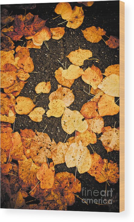 Abstract Wood Print featuring the photograph Fallen leaves by Silvia Ganora