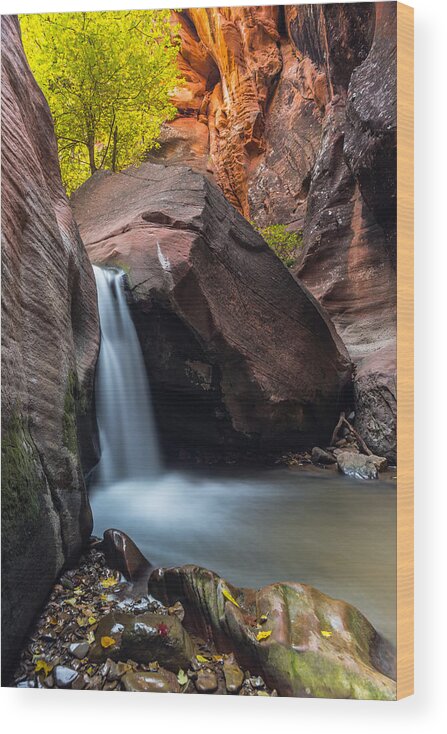 Kanarra Wood Print featuring the photograph Falling Silk by Chuck Jason