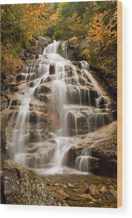 Water Falls Wood Print featuring the photograph Falling Waters by Diana Nault