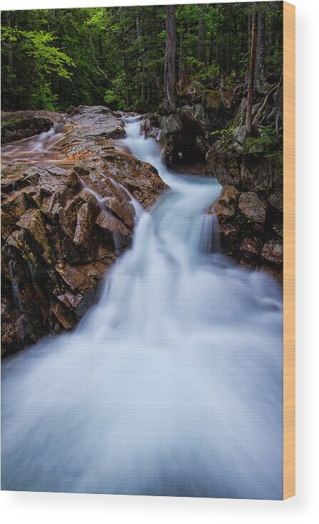 Cascade Wood Print featuring the photograph Falls In The Forest by Jeff Sinon