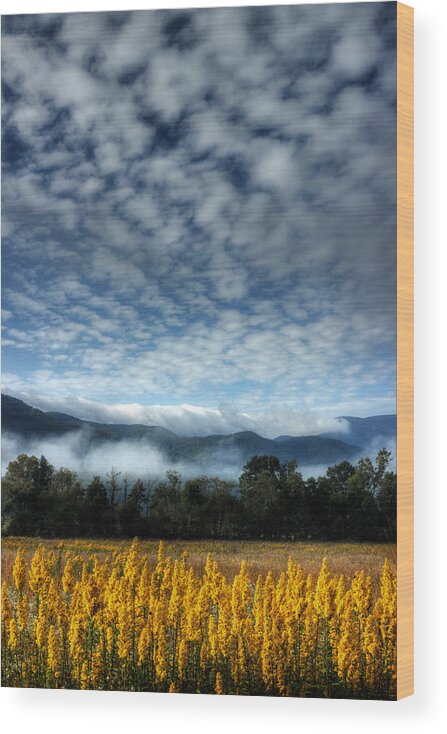 Big Sky Valley Wood Print featuring the photograph Fascination Of The Valley by Michael Eingle