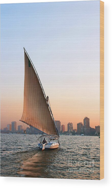 Felucca Wood Print featuring the photograph Felucca on the Nile by Paul Cowan