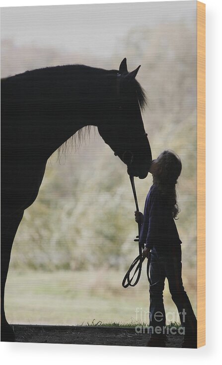 Horse Wood Print featuring the photograph First Kiss by Carol Lynn Coronios