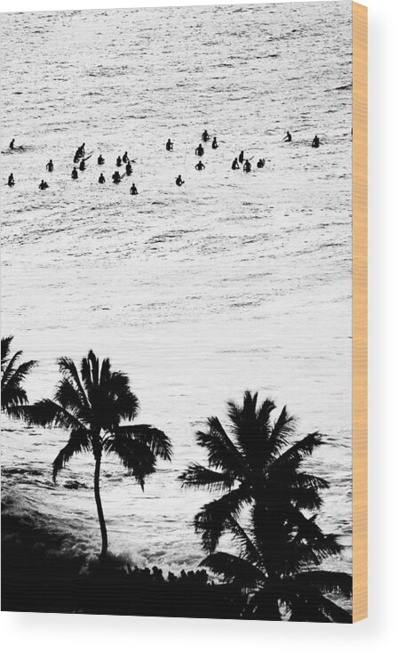 Black And White Wood Print featuring the photograph Fisher Palms by Sean Davey