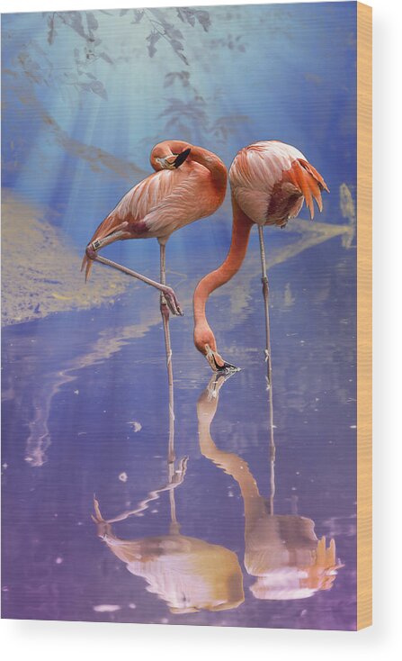 Bird Wood Print featuring the photograph Flamingo Fantasy Lights by Bill and Linda Tiepelman