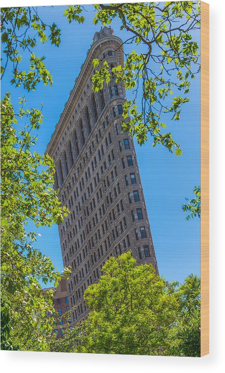 Manhattan Wood Print featuring the photograph Flatiron Building by Chris McKenna