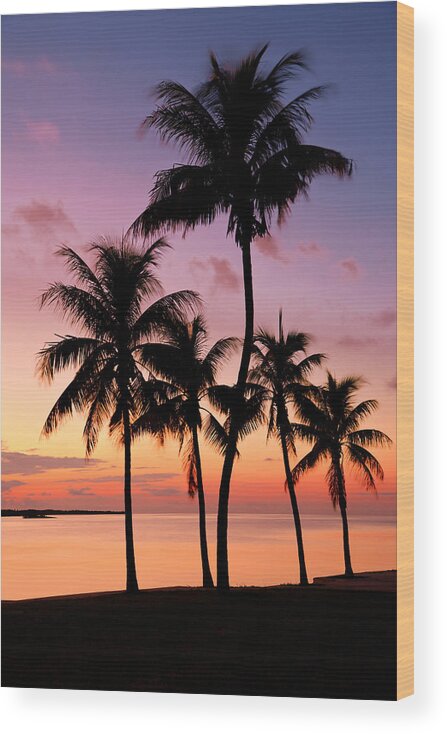 Sunset Wood Print featuring the photograph Florida Breeze by Chad Dutson