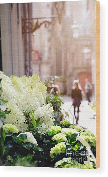 Stall Wood Print featuring the photograph Flower stall in sunlight by Jane Rix