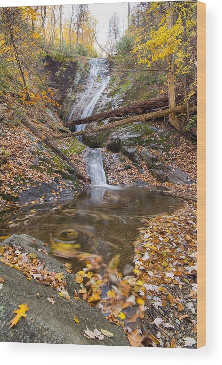 Leaves Wood Print featuring the photograph Flowing Leaves by Alan Raasch