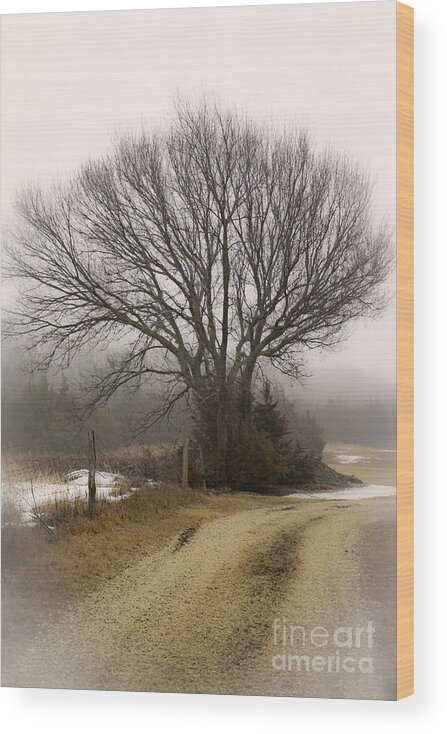 Fog Wood Print featuring the photograph Fog And Snow by Barbara Dean