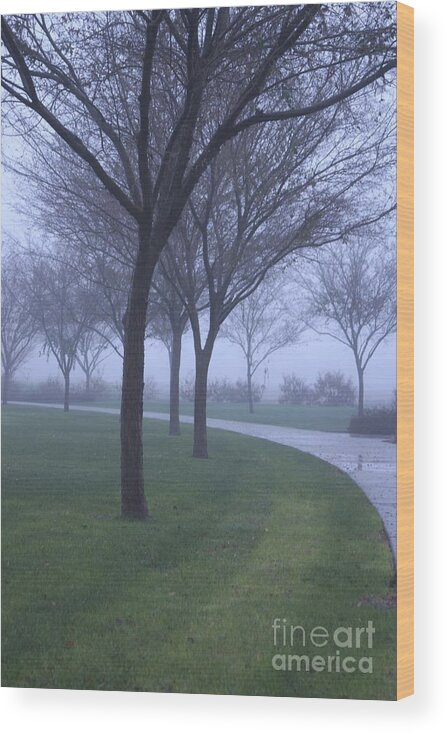 Fog Wood Print featuring the photograph Fog by Kerri Mortenson