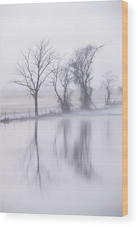 Landscape Wood Print featuring the photograph Fog by Lindsey Weimer