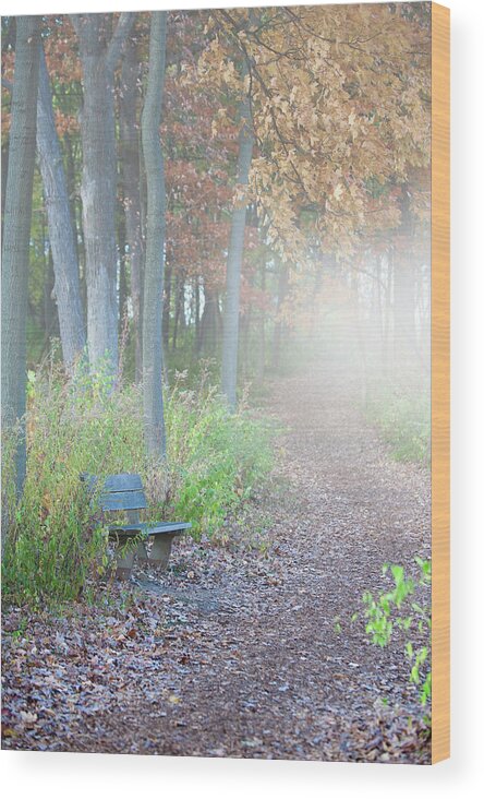 Foggy Autumn Morning Wood Print featuring the photograph Foggy Autumn Morning by Sebastian Musial