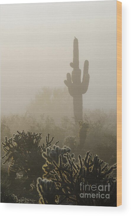 Fog Wood Print featuring the photograph Foggy Desert by Tamara Becker