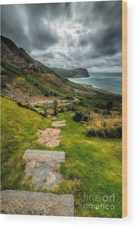 Llyn Peninsula Wood Print featuring the photograph Follow The Path by Adrian Evans