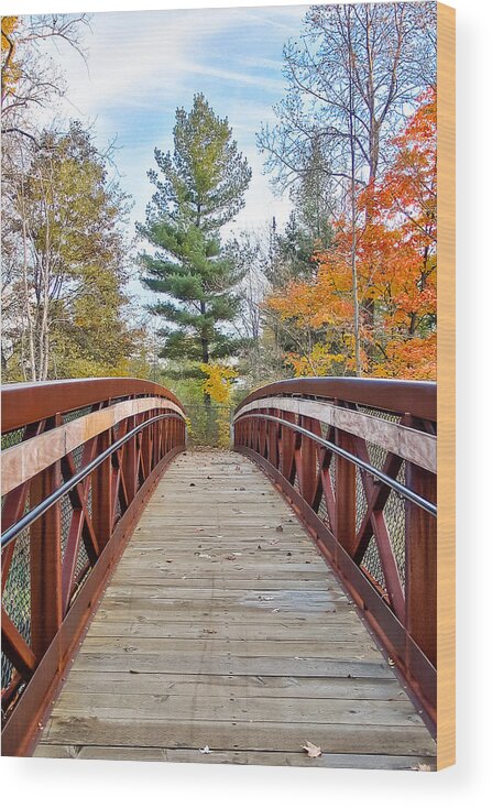 Michigan Wood Print featuring the photograph Foot Bridge in Fall by Lars Lentz