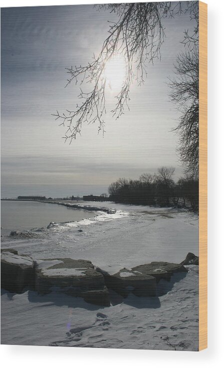Lake Michigan Wood Print featuring the photograph Foot Prints Along The Shore by Kay Novy