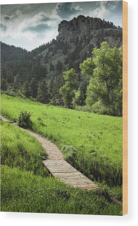 Tranquility Wood Print featuring the photograph Footbridge Along A Colorado Mountain by Archive Graphics Llc