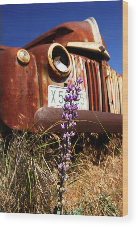 Palouse Wood Print featuring the photograph Ford on the Palouse No.3 by Daniel Woodrum