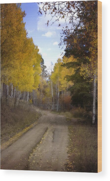 Fall Wood Print featuring the photograph Forest Road in Autumn by Ellen Heaverlo