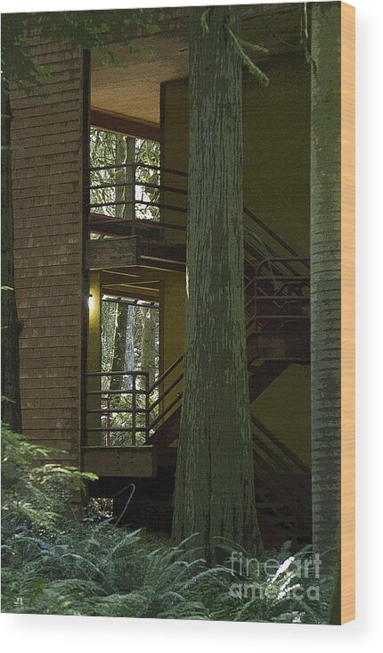 Stairway Wood Print featuring the photograph Forest Stairway by Jeanette French