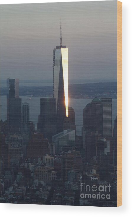 Freedom Tower Wood Print featuring the photograph Freedom Tower by John Telfer