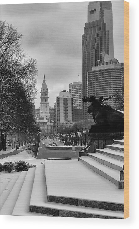 Frozen Philadelphia Wood Print featuring the photograph Frozen Philadelphia by Bill Cannon