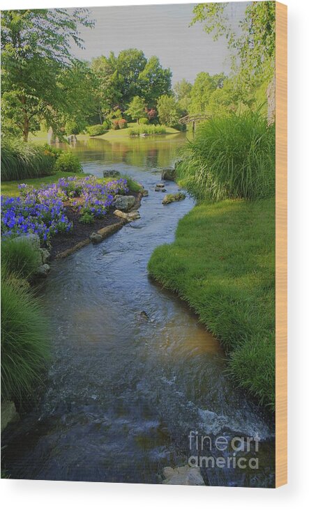 Garden Wood Print featuring the photograph Garden Stream HDR #9795 by Crystal Nederman