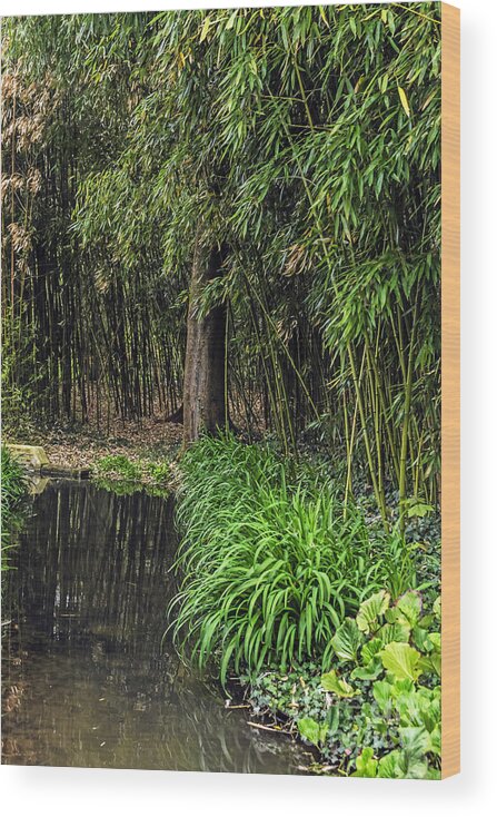 Travel Wood Print featuring the photograph Garden's Edge by Elvis Vaughn