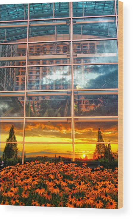 Gaylord National Resort And Convention Center Wood Print featuring the photograph Gaylord National Resort and Convention Center by Mitch Cat