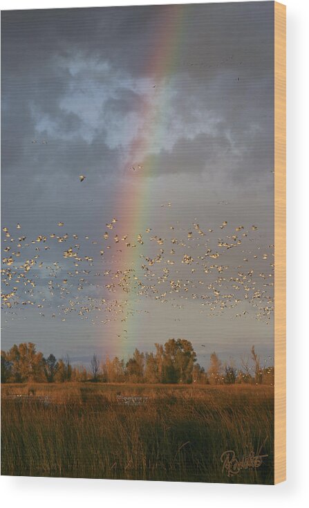 Geese Wood Print featuring the photograph Geese and Rainbow by Ann Ranlett