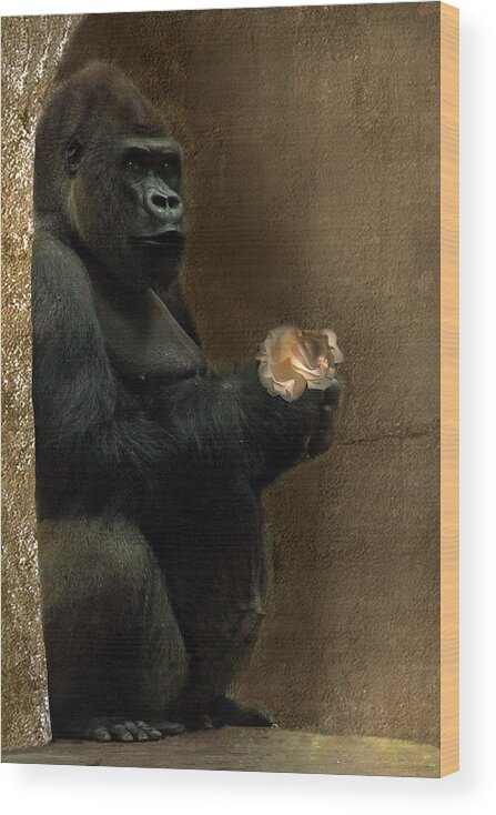 Gorilla Wood Print featuring the photograph Gentle Gorilla by Christine Sponchia