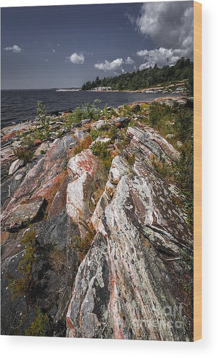 Georgian Bay Wood Print featuring the photograph Georgian Bay rocks by Elena Elisseeva