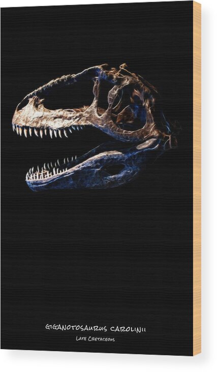 Giganotosaurus Carolinii Skull Wood Print featuring the photograph Giganotosaurus Skull 2 by Weston Westmoreland
