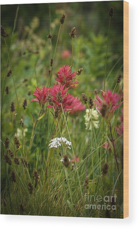 Glacier Wildflowers Wood Print featuring the photograph Glacier Wildflowers by Jim McCain