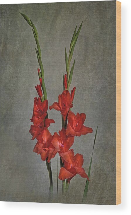 Gladiolus Wood Print featuring the photograph Gladiolus I by Richard Macquade