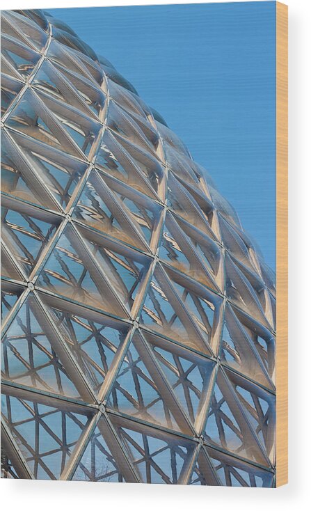 Curve Wood Print featuring the photograph Glass Dome by Timabramowitz